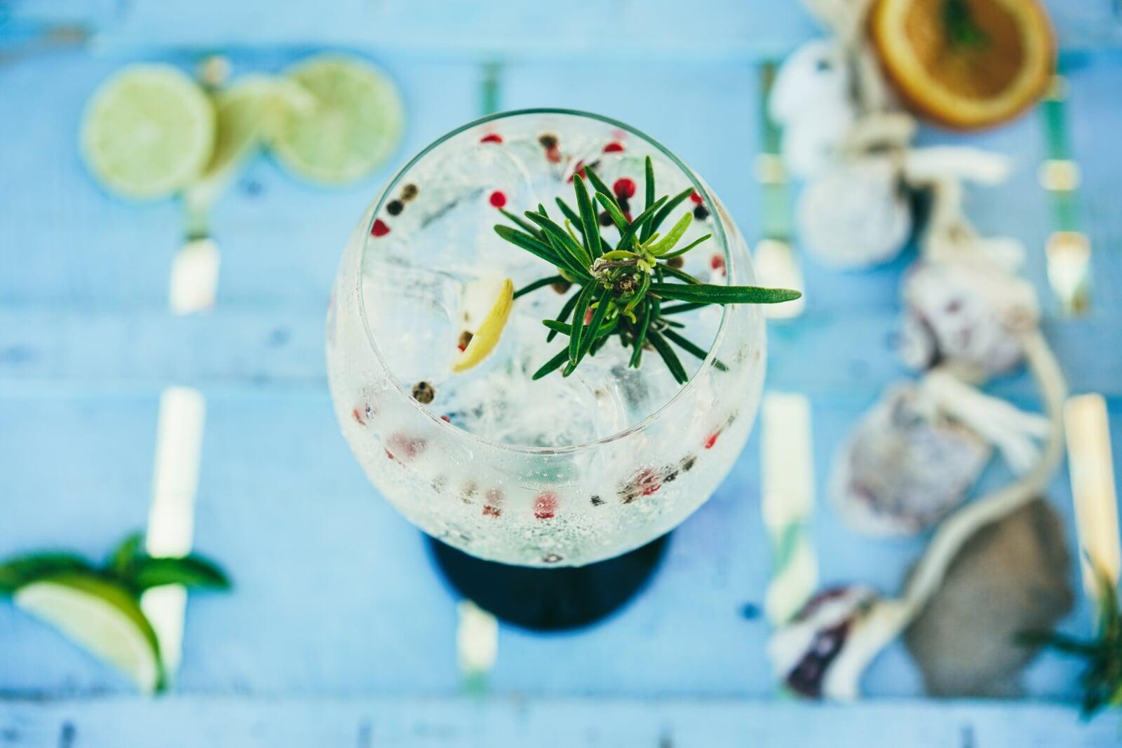 ssc.agavespirits.brand.gin